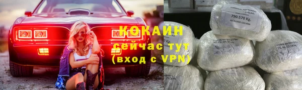 дживик Бронницы